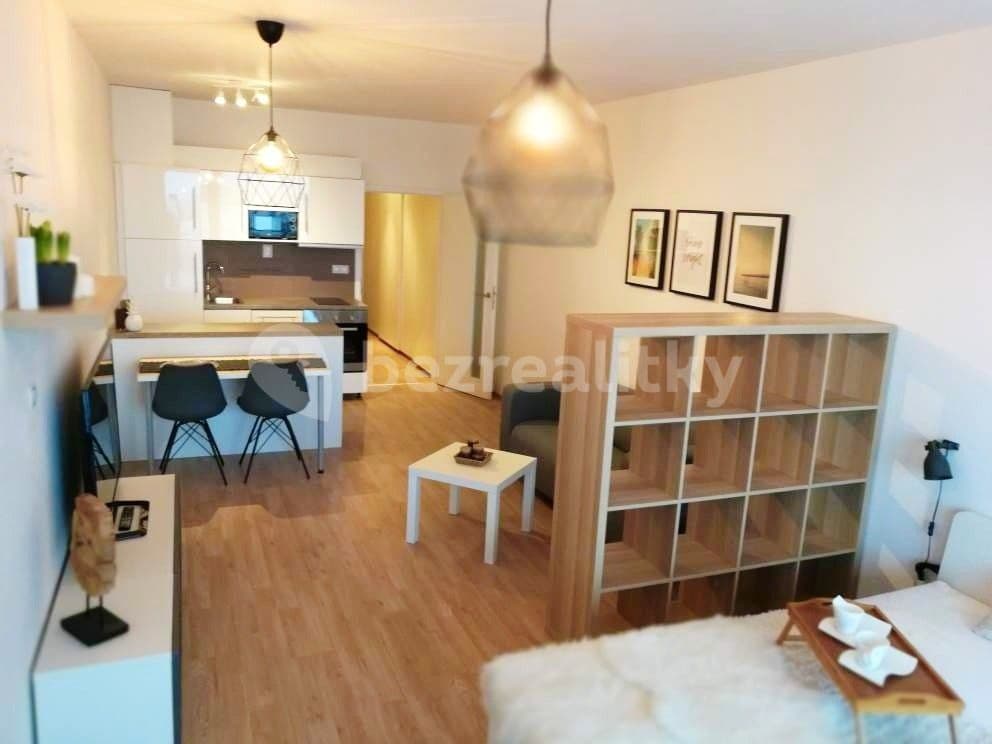 Prenájom bytu 1-izbový 40 m², Řípská, Brno, Jihomoravský kraj