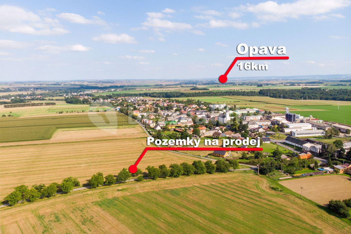 Predaj pozemku 2.810 m², Brumovice, Moravskoslezský kraj