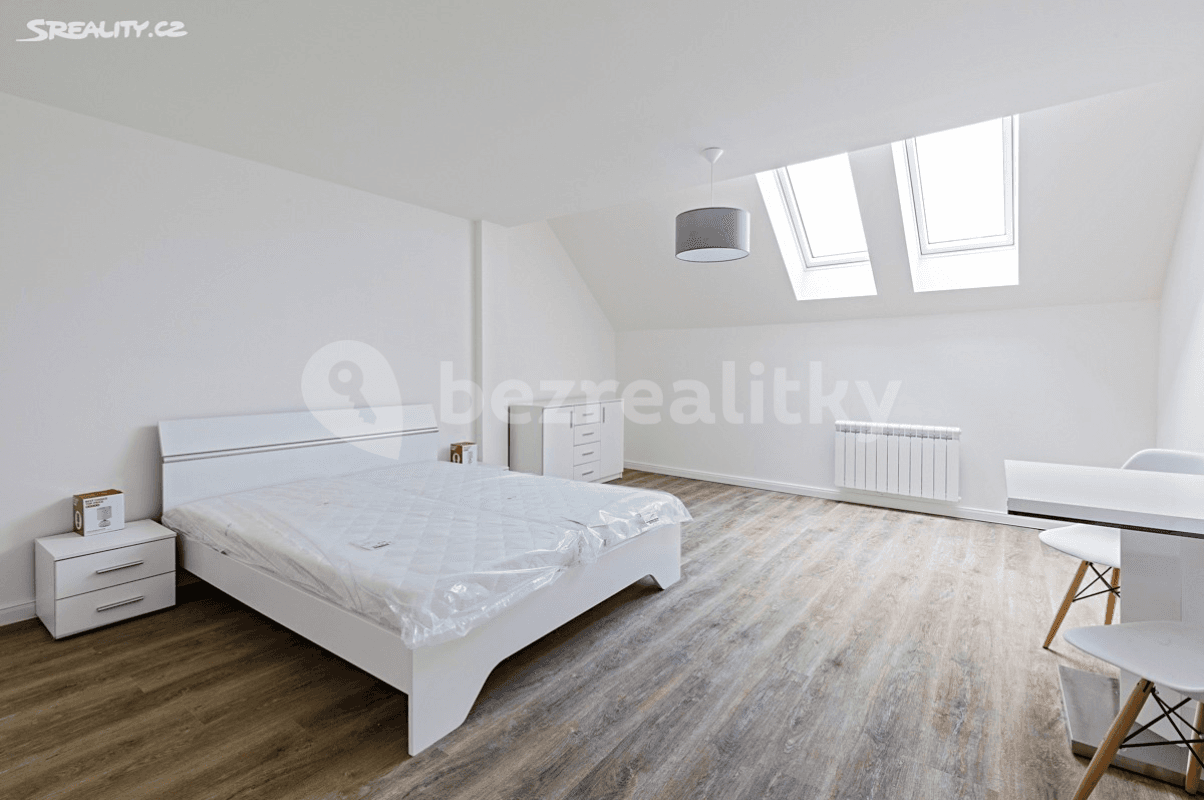 Prenájom bytu 1-izbový 49 m², Petrská, Praha, Praha