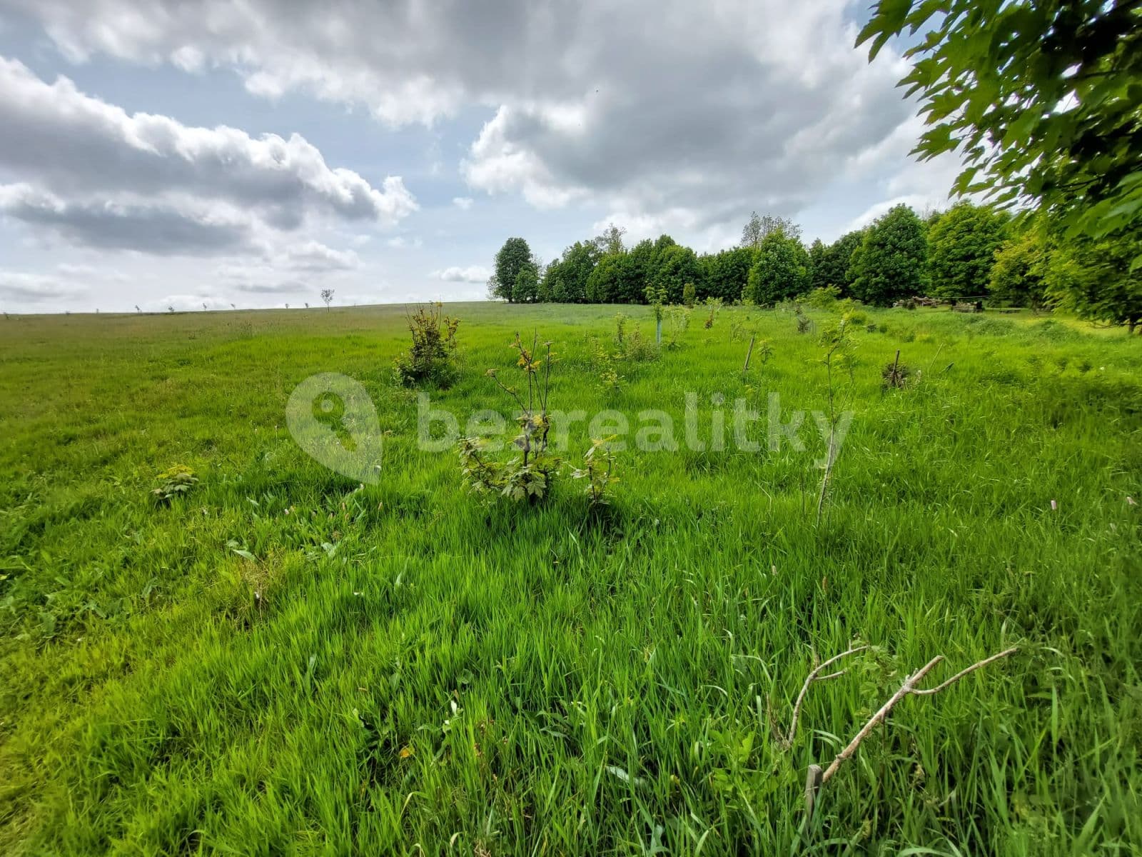 Predaj pozemku 9.500 m², Petrovice, Ústecký kraj