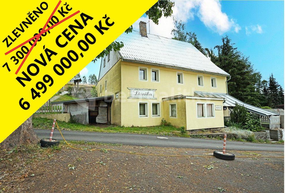 Predaj nebytového priestoru 1.004 m², Andělská, Pernink, Karlovarský kraj