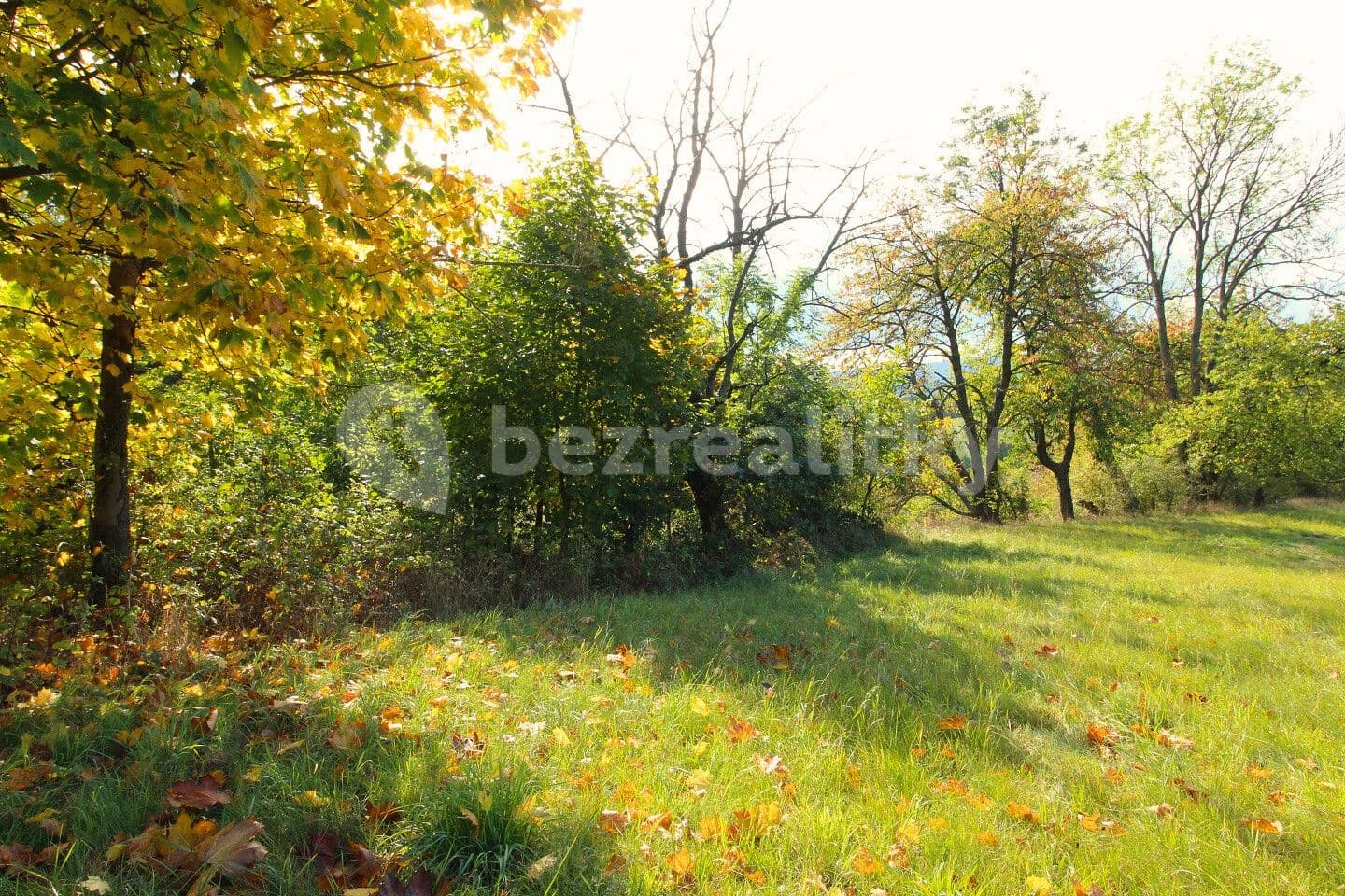 Predaj pozemku 3.251 m², Žandov, Liberecký kraj