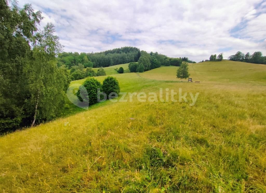 Predaj pozemku 2.377 m², Pustinská, Desná, Liberecký kraj