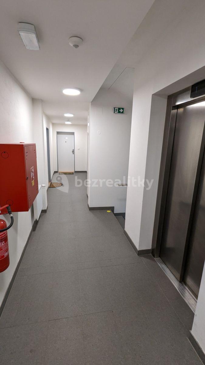 Prenájom bytu 1-izbový 40 m², Turgeněvova, Brno, Jihomoravský kraj