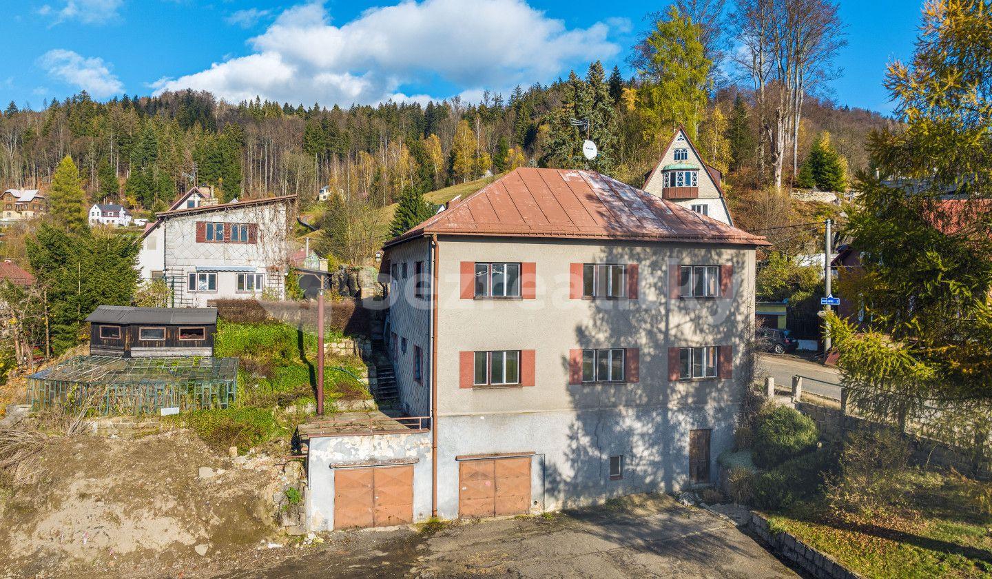 Predaj domu 399 m², pozemek 275 m², Janov nad Nisou, Liberecký kraj