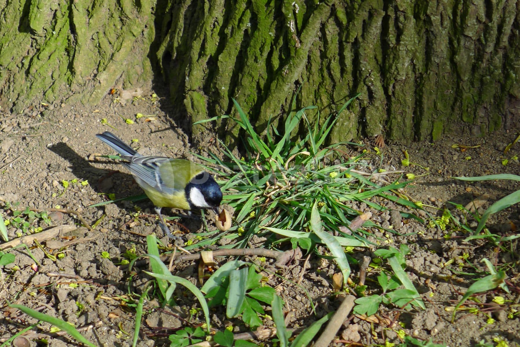 Prenájom bytu  58 m², Ruská, Teplice, Ústecký kraj