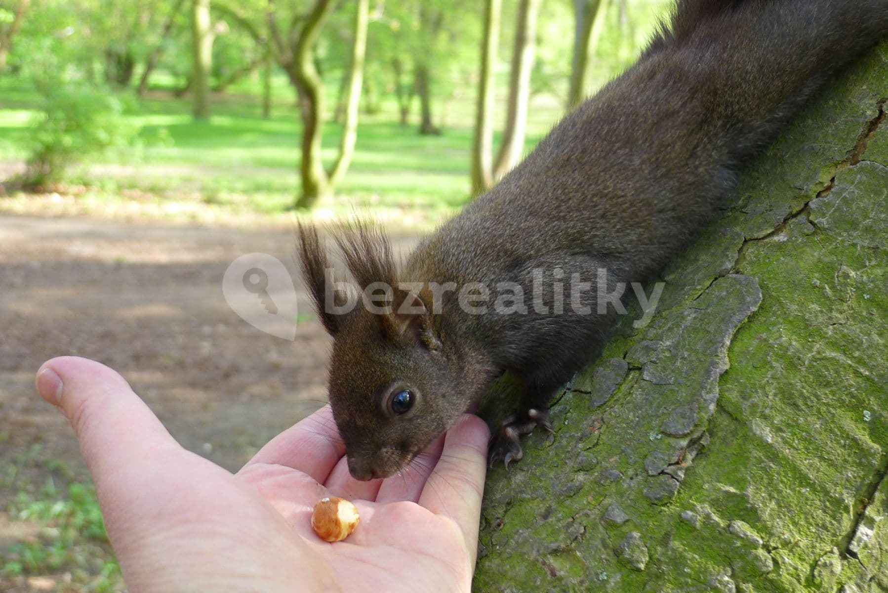 Prenájom bytu  58 m², Ruská, Teplice, Ústecký kraj