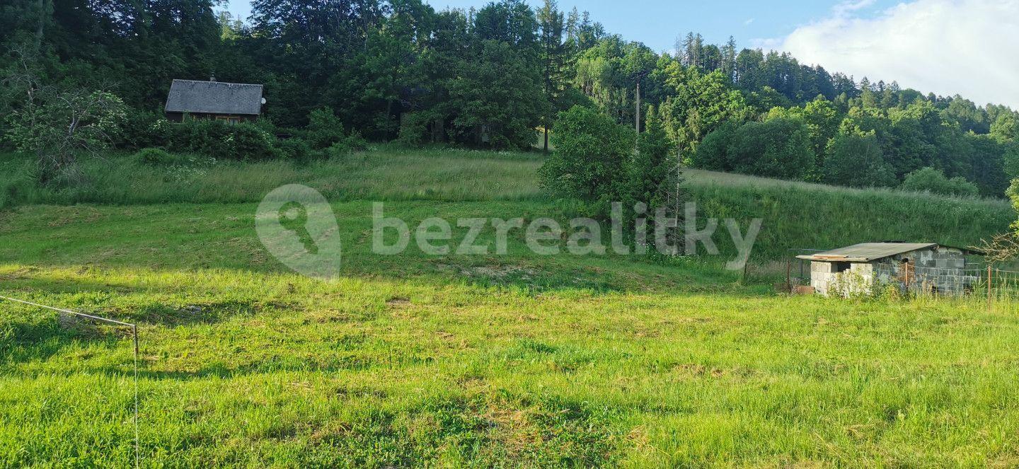 Predaj pozemku 2.296 m², Město Albrechtice, Moravskoslezský kraj
