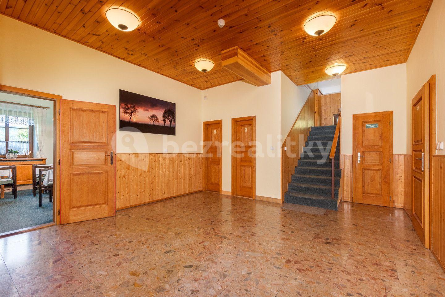 Predaj nebytového priestoru 2.754 m², Deštné v Orlických horách, Královéhradecký kraj