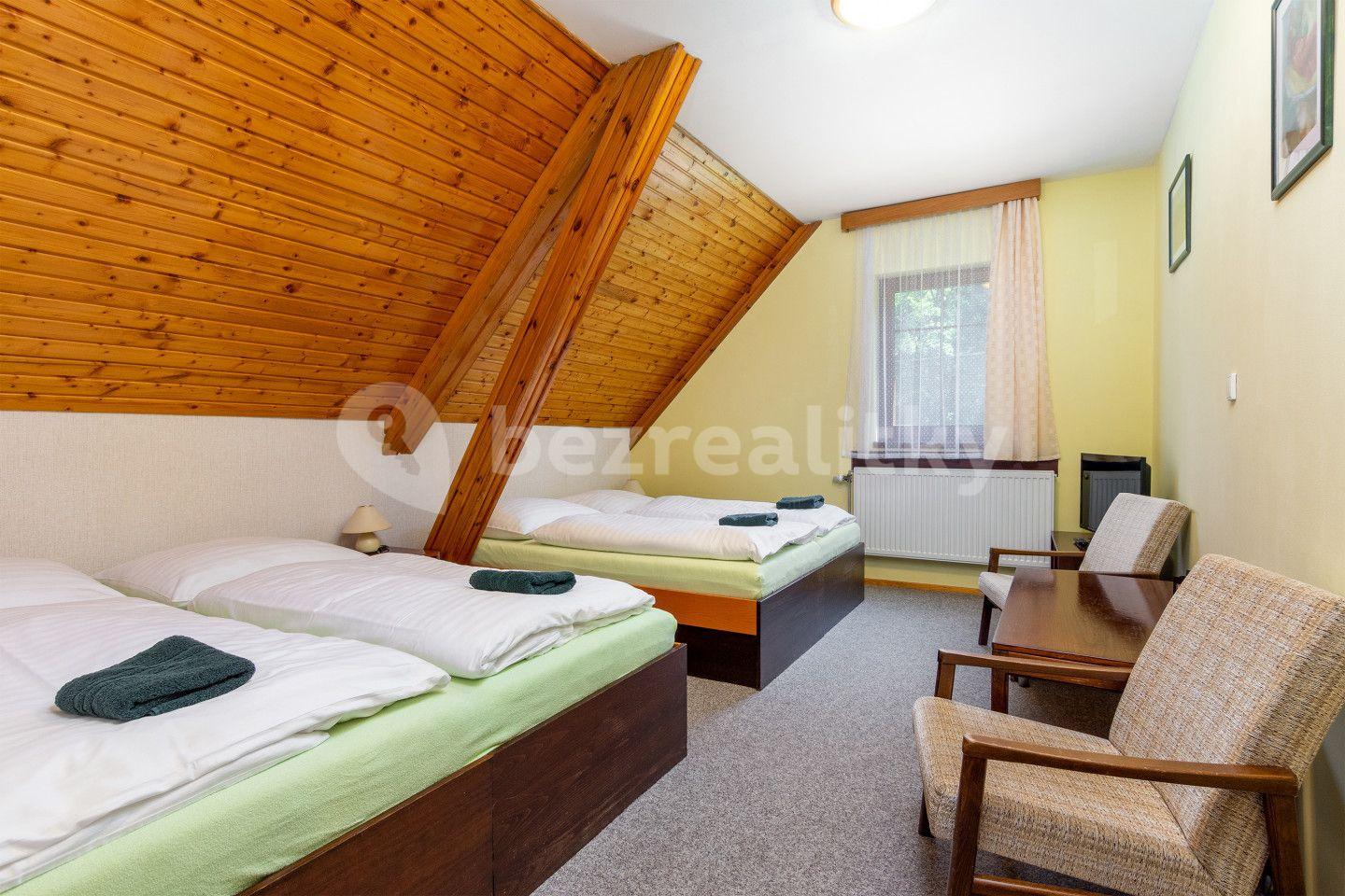 Predaj nebytového priestoru 2.754 m², Deštné v Orlických horách, Královéhradecký kraj