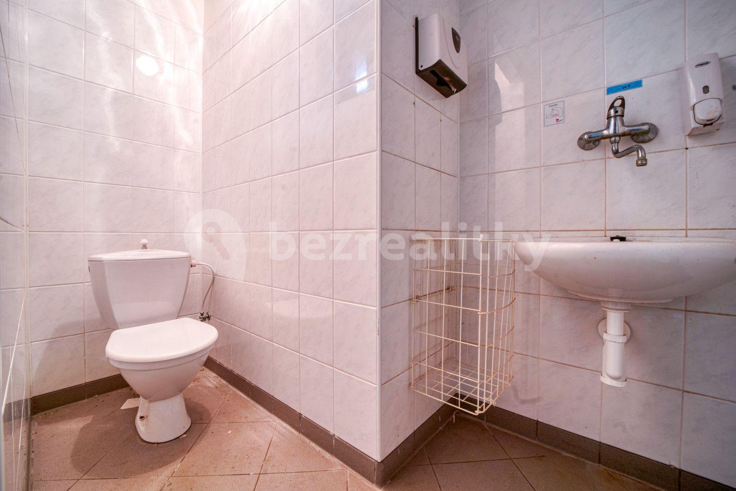 Predaj nebytového priestoru 603 m², Potvorov, Plzeňský kraj