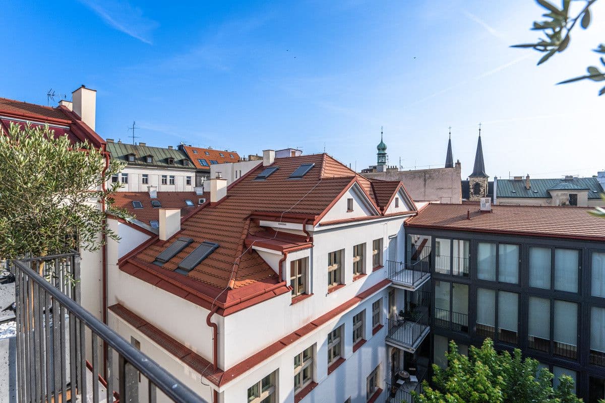 Prenájom bytu  100 m², Petrská, Praha, Praha