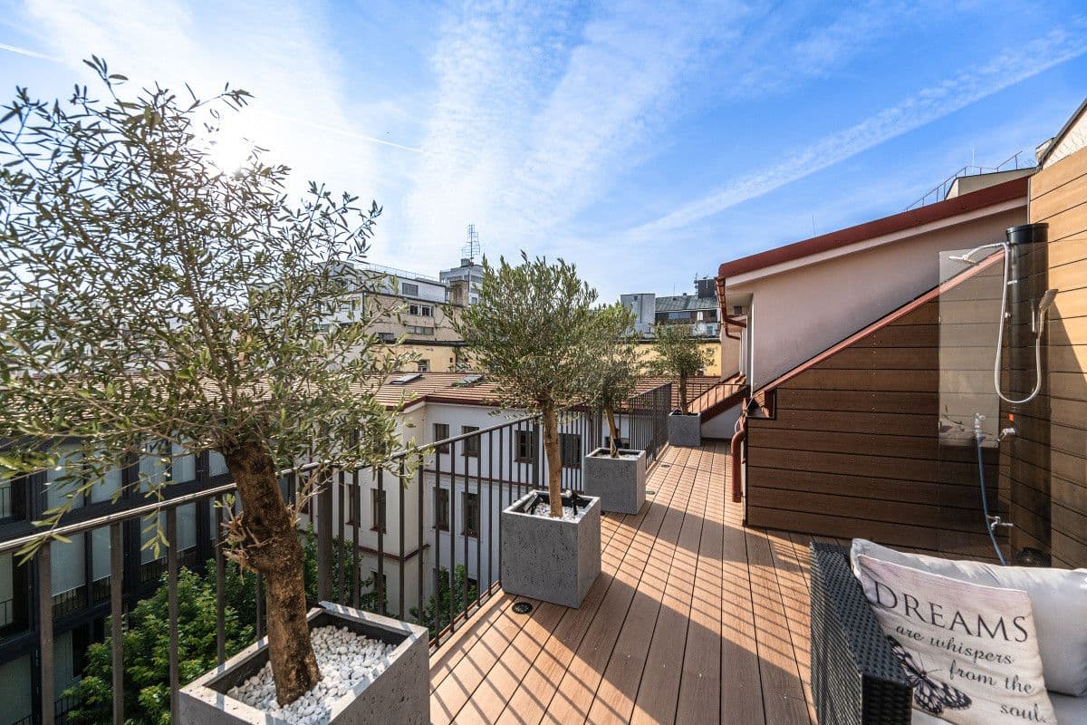 Prenájom bytu  100 m², Petrská, Praha, Praha