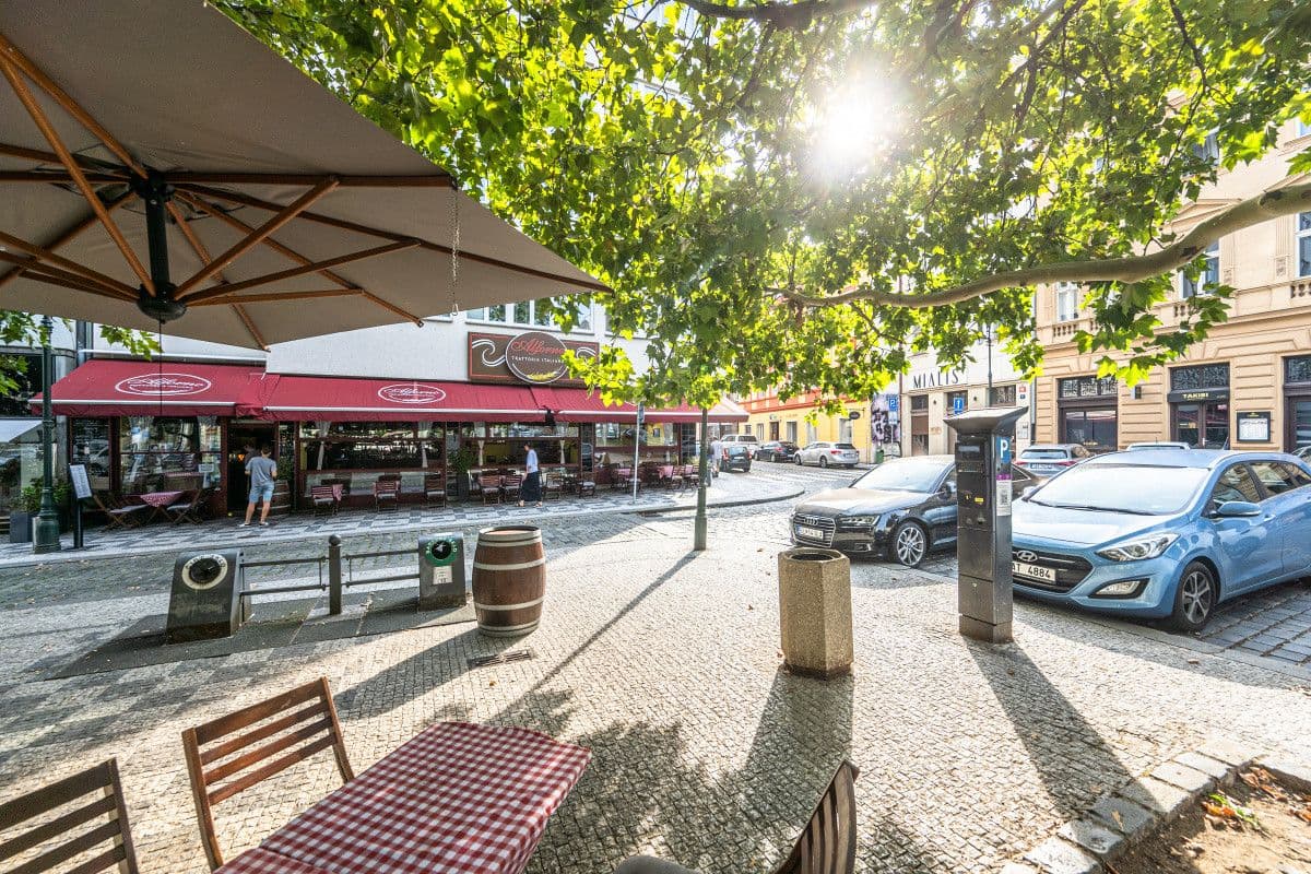 Prenájom bytu  100 m², Petrská, Praha, Praha