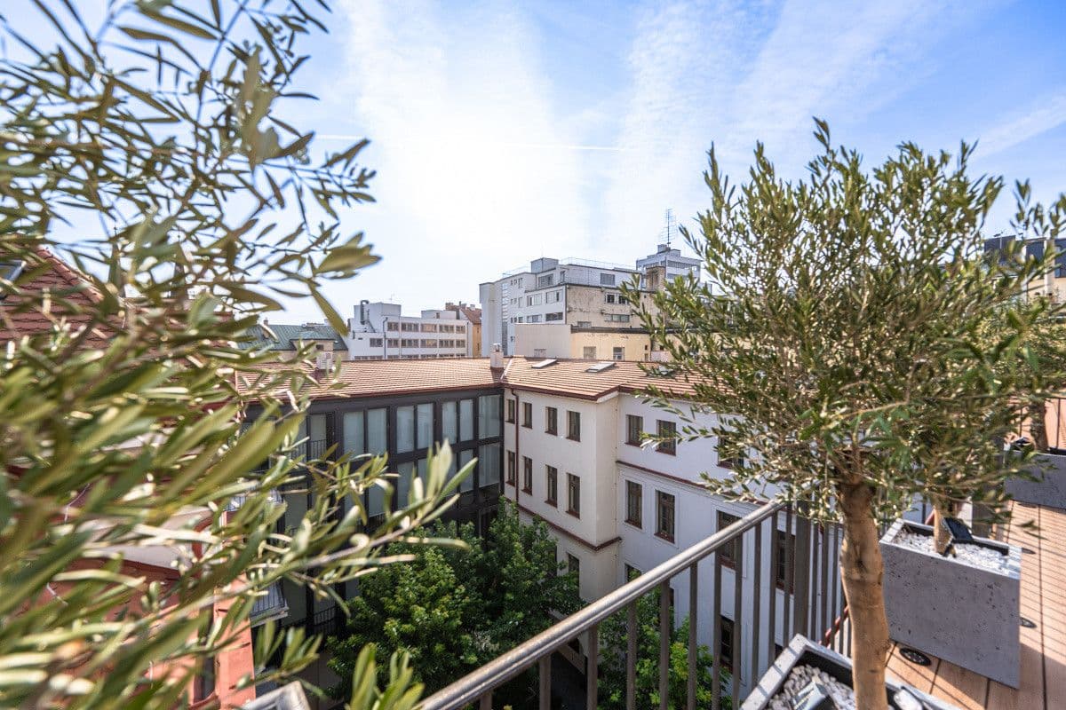 Prenájom bytu  100 m², Petrská, Praha, Praha