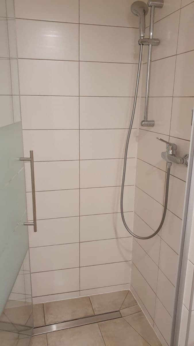 Prenájom bytu  46 m², Opatovická, Praha, Praha