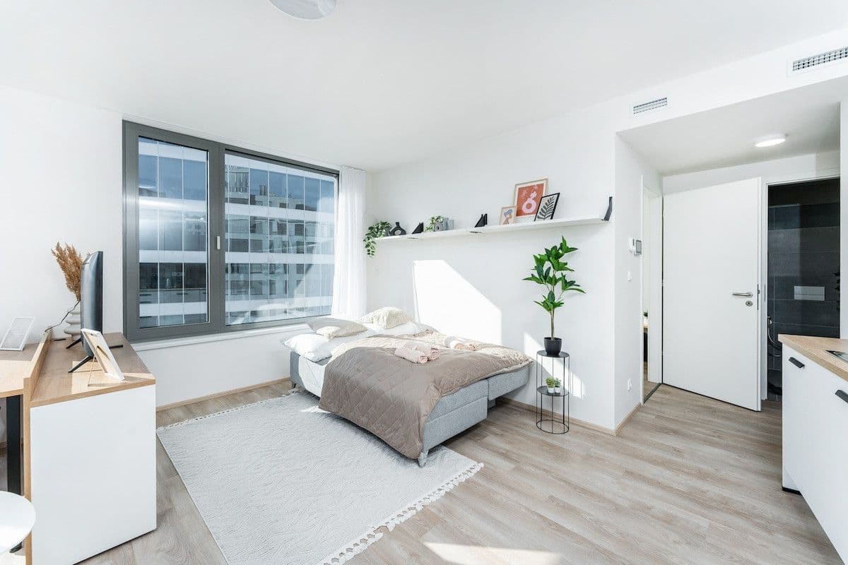 Prenájom bytu  45 m², Plzeňská, Praha, Praha