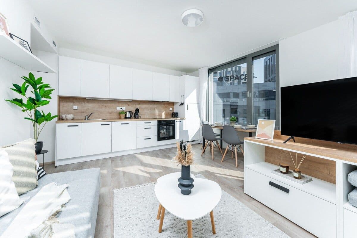 Prenájom bytu  45 m², Plzeňská, Praha, Praha