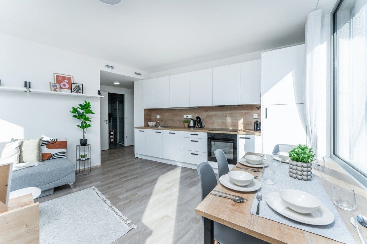 Prenájom bytu  45 m², Plzeňská, Praha, Praha