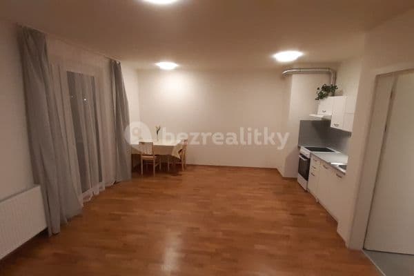 Prenájom bytu 1-izbový 35 m², Wassermannova, Hlavní město Praha
