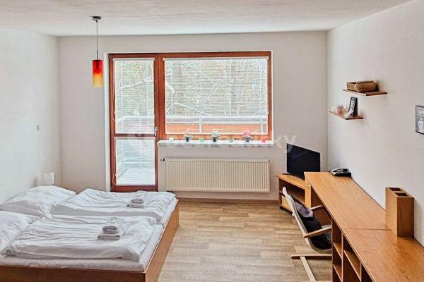 Prenájom bytu 1-izbový 40 m², Čeladná