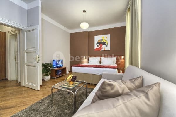 Prenájom bytu 1-izbový 38 m², Masná, Praha