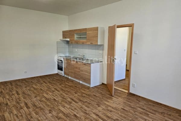 Prenájom bytu 2-izbový 50 m², Veletržní, Hlavní město Praha