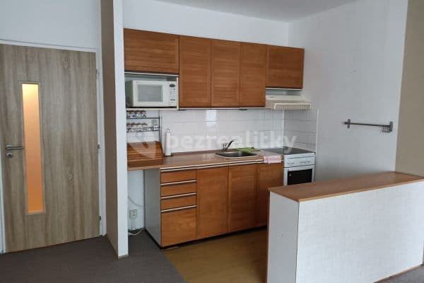 Prenájom bytu 2-izbový 45 m², Hájkova, Brno