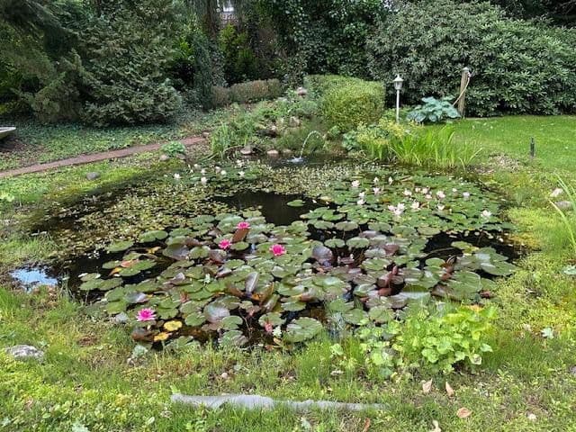 Predaj domu 200 m², pozemek 5.480 m², Luhkamp 5, Bispingen, Dolné Sasko Predaj domu 200 m², pozemek 5.480 m², Luhkamp 5, Bispingen, Dolné Sasko