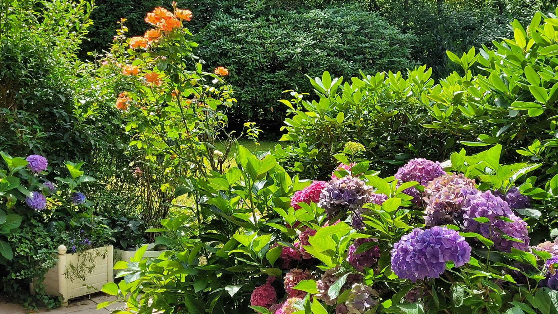 Predaj bytu 2-izbový 80 m², Hamburg, Hamburg Predaj bytu 2-izbový 80 m², Hamburg, Hamburg