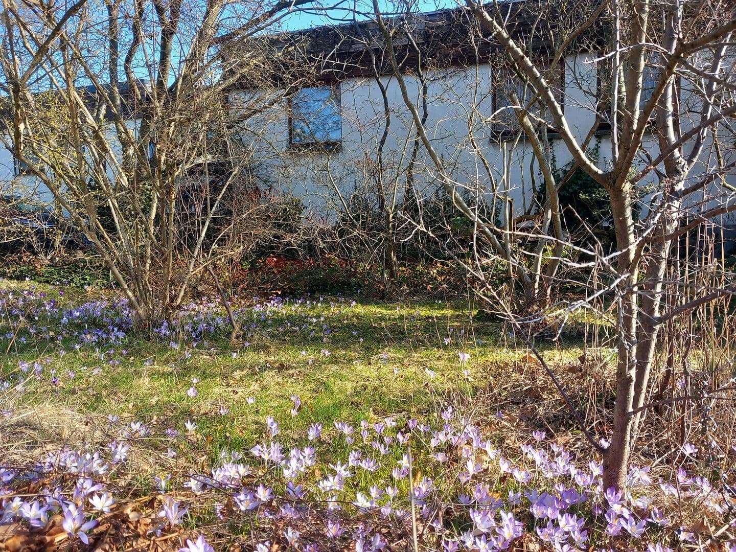 Predaj domu 125 m², pozemek 474 m², Claußallee 9, Freiberg, Sasko Predaj domu 125 m², pozemek 474 m², Claußallee 9, Freiberg, Sasko