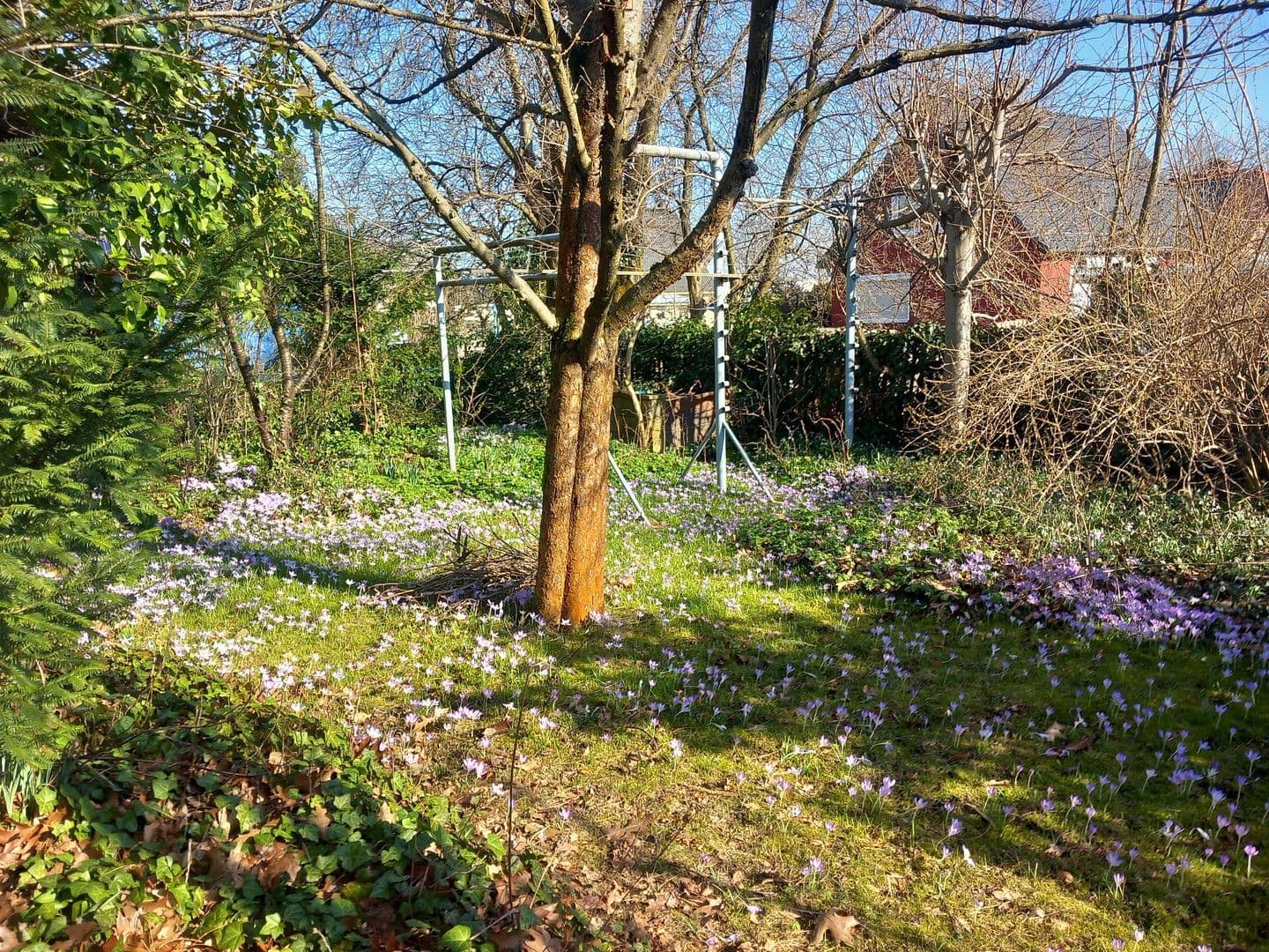 Predaj domu 125 m², pozemek 474 m², Claußallee 9, Freiberg, Sasko Predaj domu 125 m², pozemek 474 m², Claußallee 9, Freiberg, Sasko