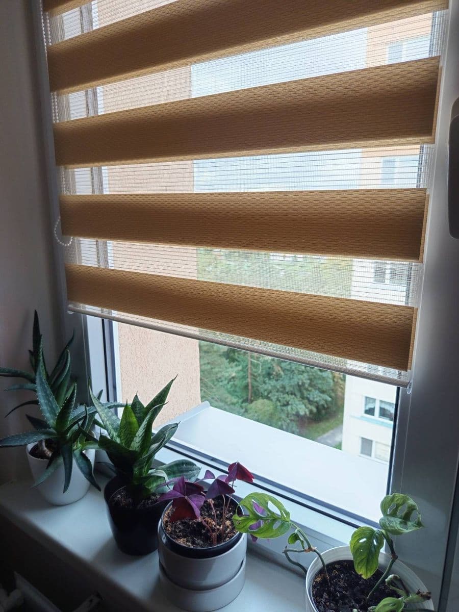 Predaj bytu 3-izbový 65 m², Pavlouskova, Ostrava, Moravskoslezský kraj Predaj bytu 3-izbový 65 m², Pavlouskova, Ostrava, Moravskoslezský kraj