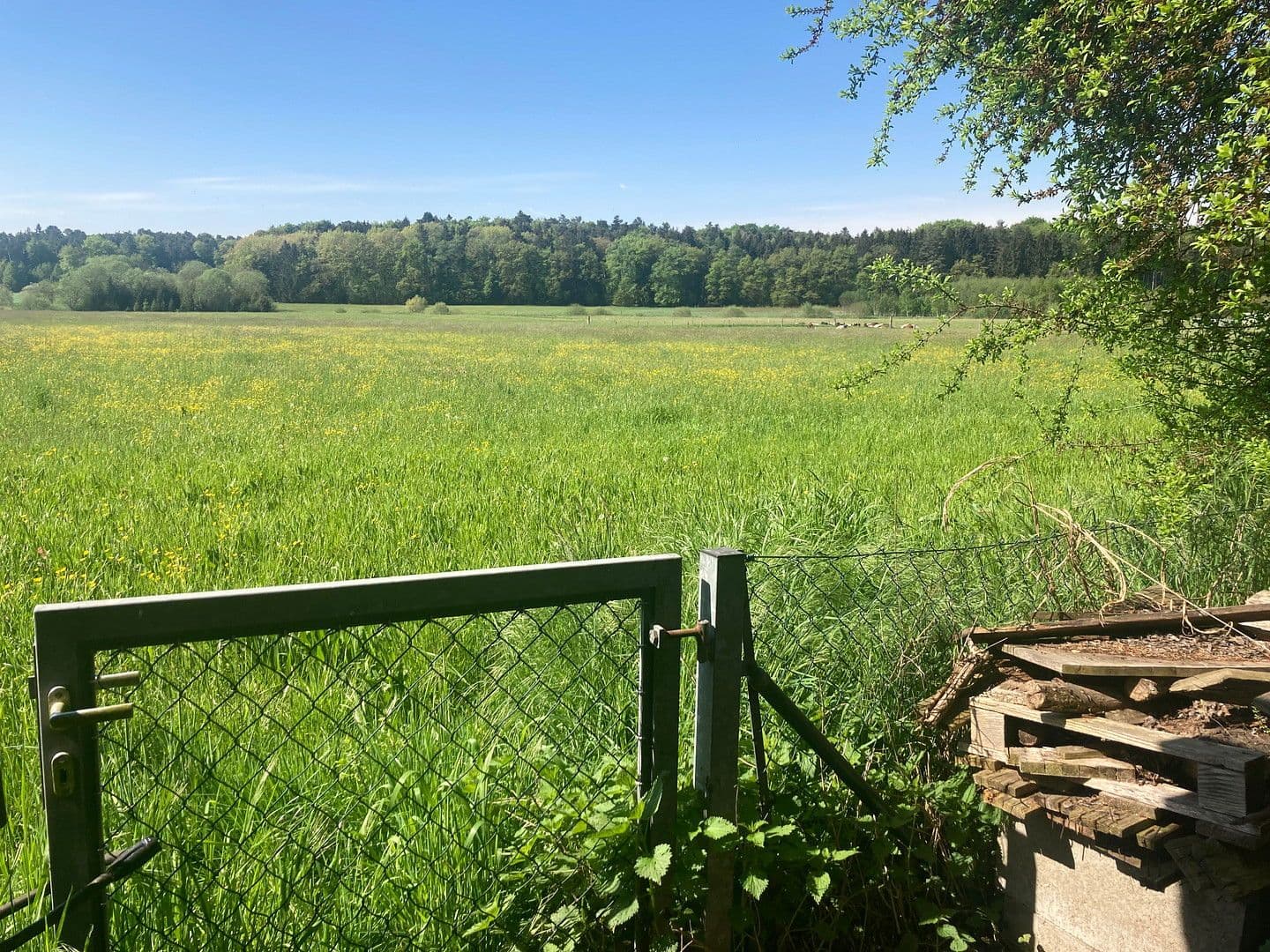 Predaj domu 213 m², pozemek 1.193 m², Jägersteig 11, Schrobenhausen, Bavorsko Predaj domu 213 m², pozemek 1.193 m², Jägersteig 11, Schrobenhausen, Bavorsko