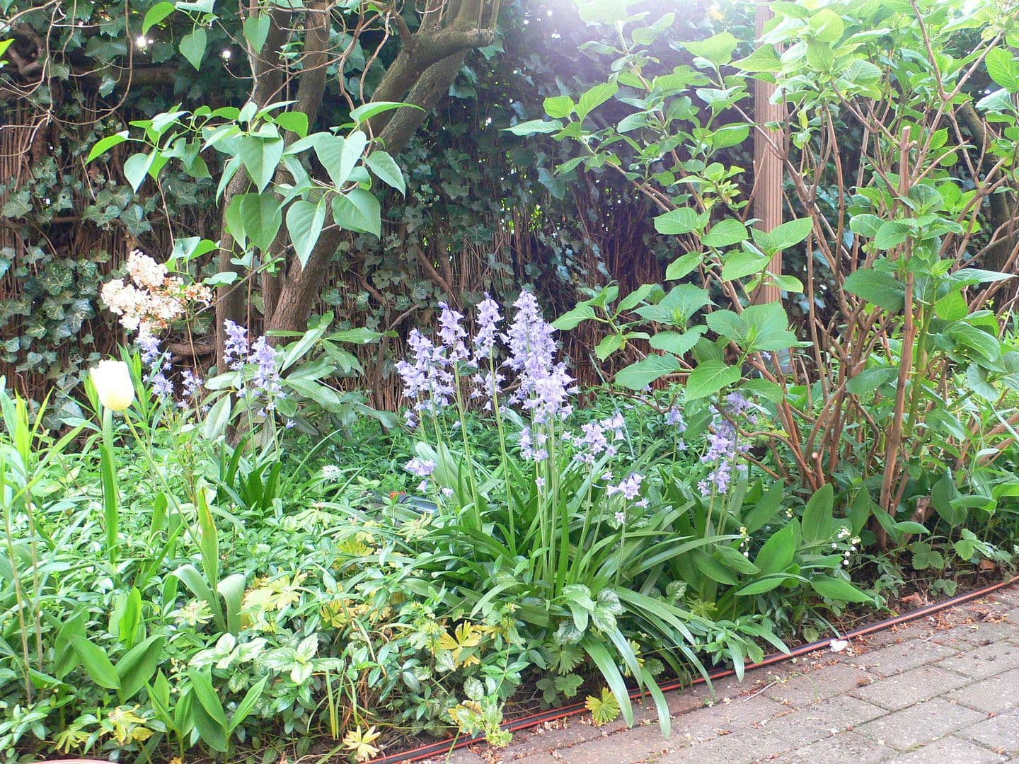 Prenájom bytu 2-izbový 56 m², Mönchengladbach, Severné Porýnie - Westfálsko Prenájom bytu 2-izbový 56 m², Mönchengladbach, Severné Porýnie - Westfálsko