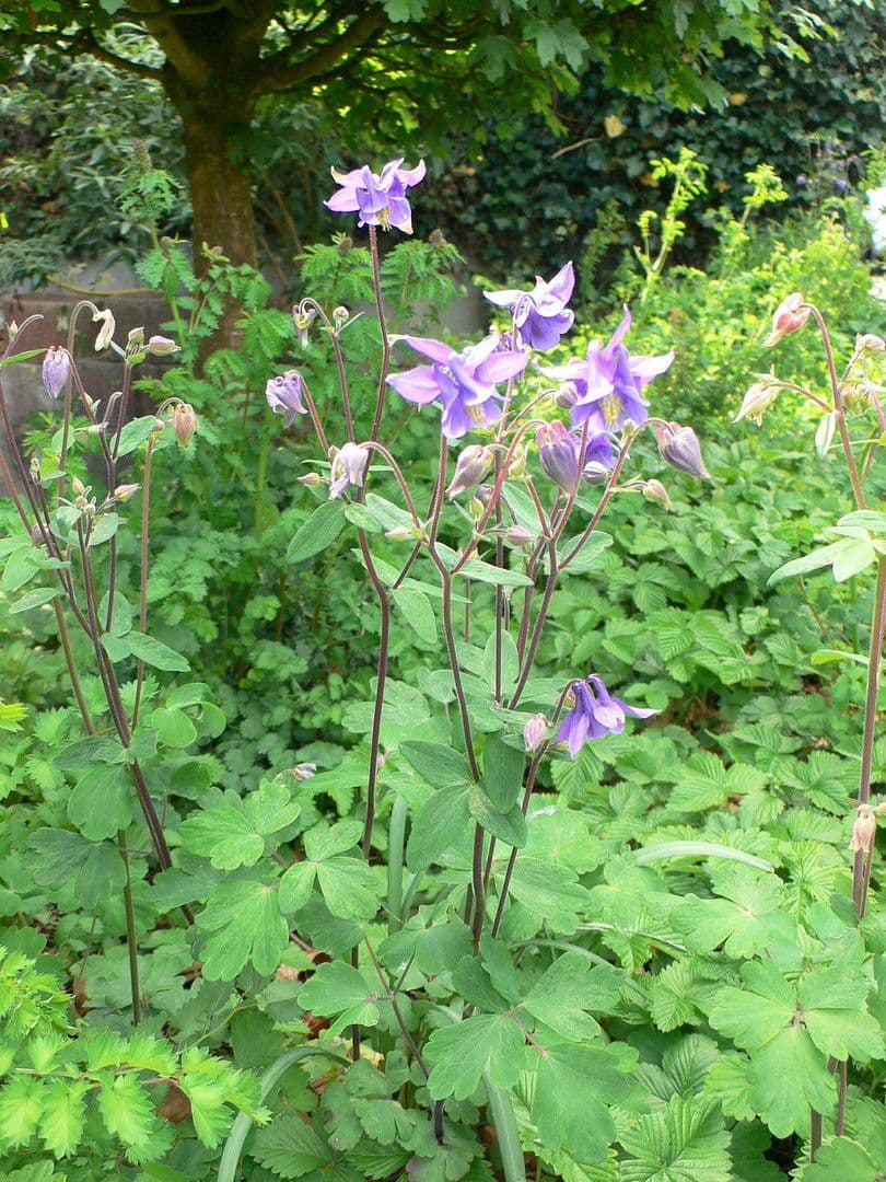 Prenájom bytu 2-izbový 56 m², Mönchengladbach, Severné Porýnie - Westfálsko Prenájom bytu 2-izbový 56 m², Mönchengladbach, Severné Porýnie - Westfálsko