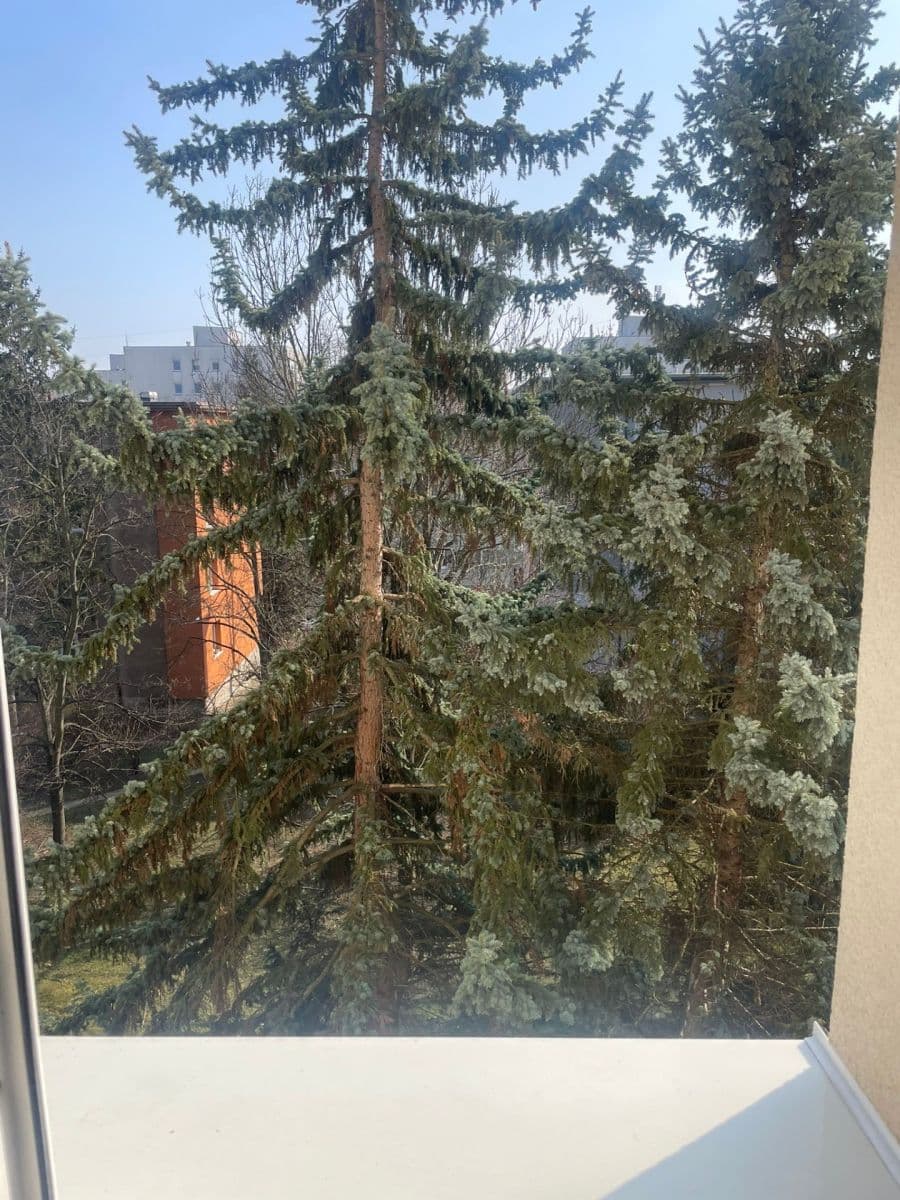 Prenájom bytu 1-izbový 36 m², Pod Lipami, Praha, Praha Prenájom bytu 1-izbový 36 m², Pod Lipami, Praha, Praha