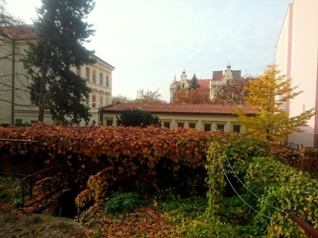 Prenájom bytu 2-izbový 49 m², Levá, Praha, Praha Prenájom bytu 2-izbový 49 m², Levá, Praha, Praha