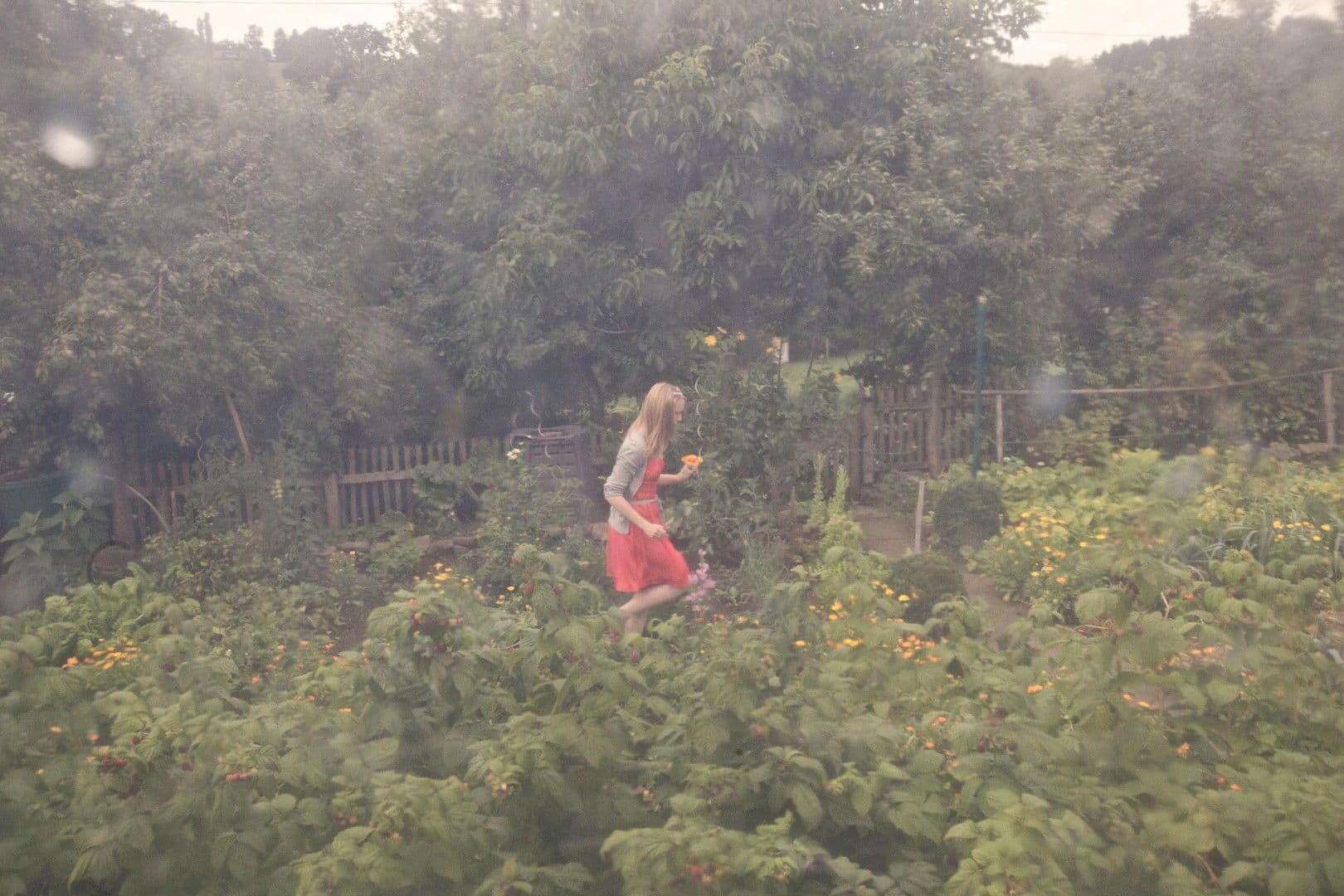 Predaj domu 100 m², pozemek 981 m², Extertal, Severné Porýnie - Westfálsko Predaj domu 100 m², pozemek 981 m², Extertal, Severné Porýnie - Westfálsko