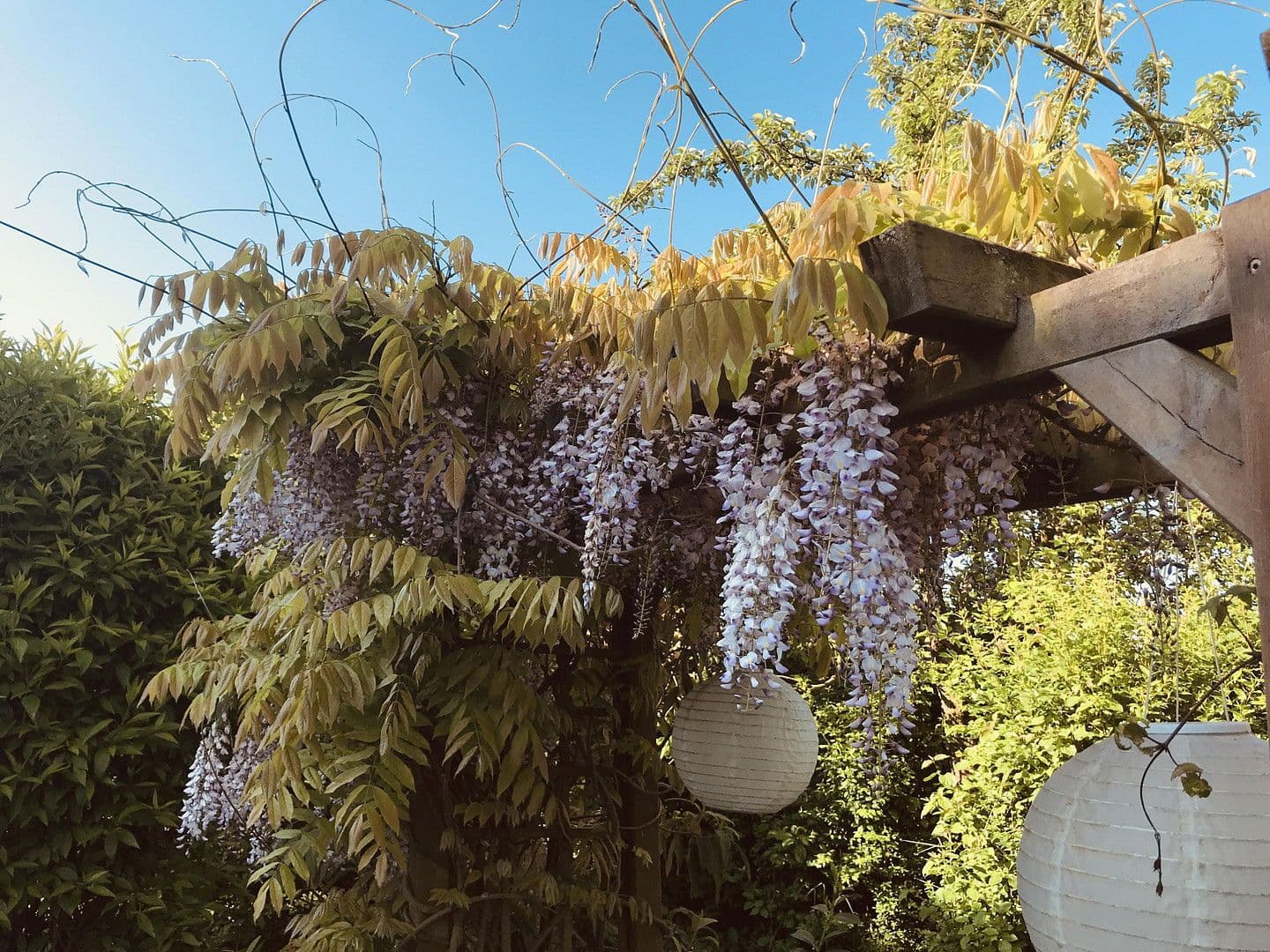 Predaj domu 160 m², pozemek 175 m², Wörth, Bavorsko Predaj domu 160 m², pozemek 175 m², Wörth, Bavorsko