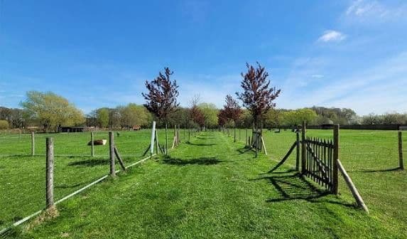 Predaj domu 703 m², pozemek 41.670 m², Niederkrüchten, Severné Porýnie - Westfálsko Predaj domu 703 m², pozemek 41.670 m², Niederkrüchten, Severné Porýnie - Westfálsko