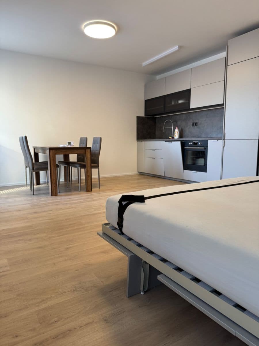Prenájom bytu 1-izbový 39 m², Auerswaldova, Brno, Jihomoravský kraj Prenájom bytu 1-izbový 39 m², Auerswaldova, Brno, Jihomoravský kraj