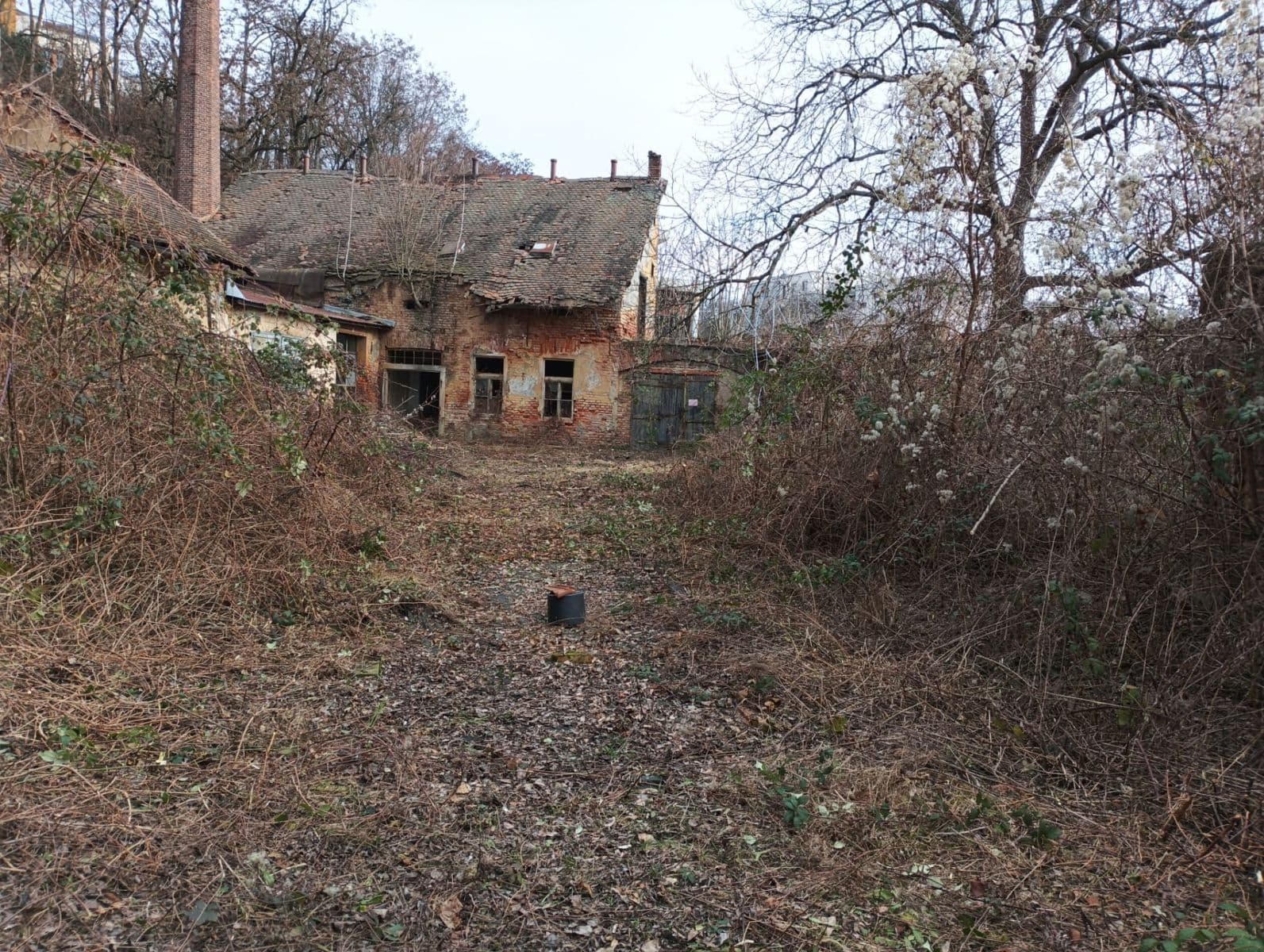 Prenájom pozemku 2.514 m², Vinopalnická, Praha, Praha Prenájom pozemku 2.514 m², Vinopalnická, Praha, Praha