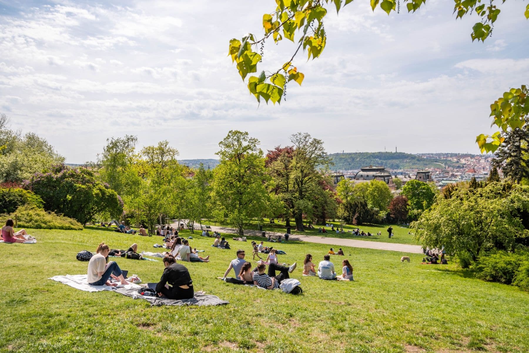 Prenájom bytu 1-izbový 25 m², Lucemburská, Praha, Praha Prenájom bytu 1-izbový 25 m², Lucemburská, Praha, Praha