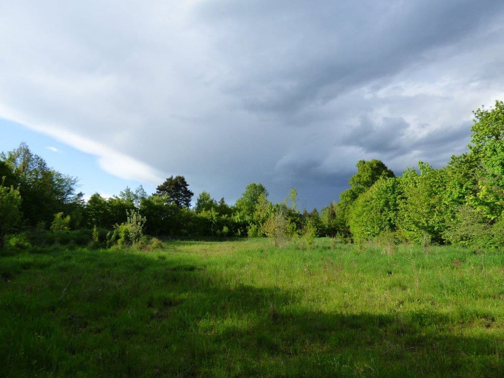 Predaj pozemku 7.636 m², Dobřeň, Středočeský kraj Predaj pozemku 7.636 m², Dobřeň, Středočeský kraj