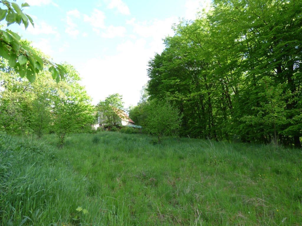 Predaj pozemku 7.636 m², Dobřeň, Středočeský kraj Predaj pozemku 7.636 m², Dobřeň, Středočeský kraj