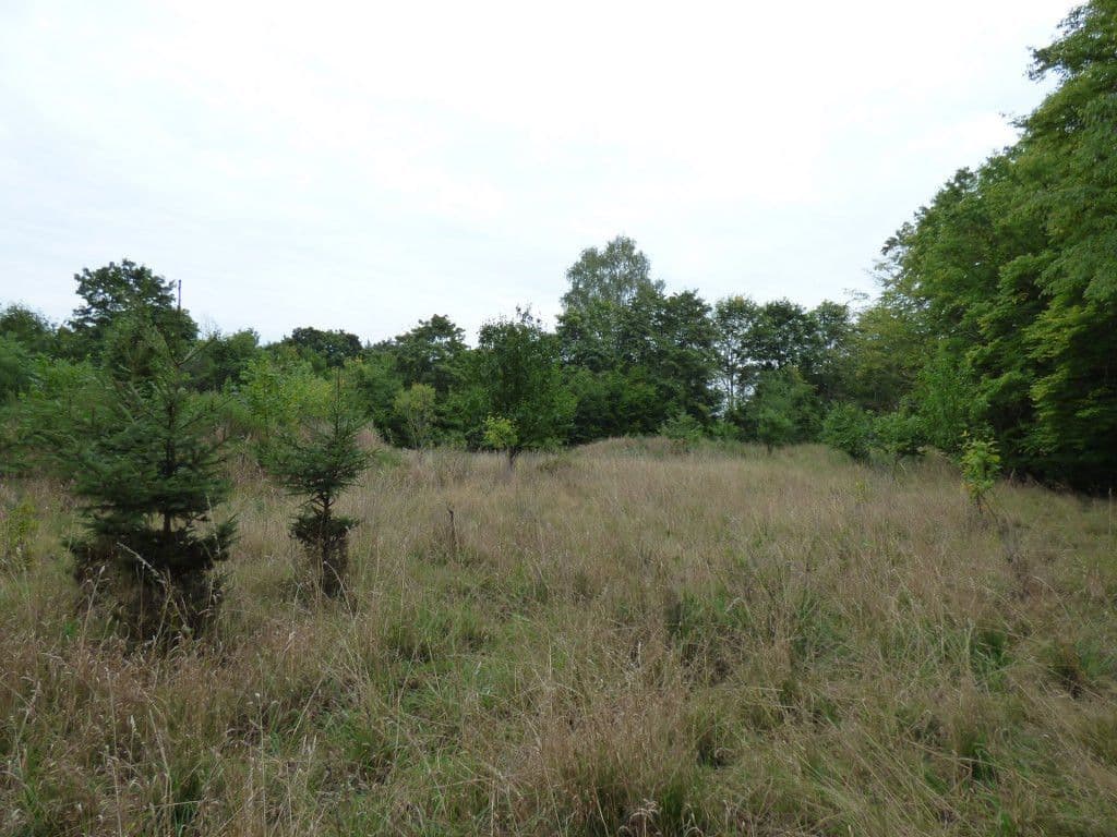 Predaj pozemku 7.636 m², Dobřeň, Středočeský kraj Predaj pozemku 7.636 m², Dobřeň, Středočeský kraj