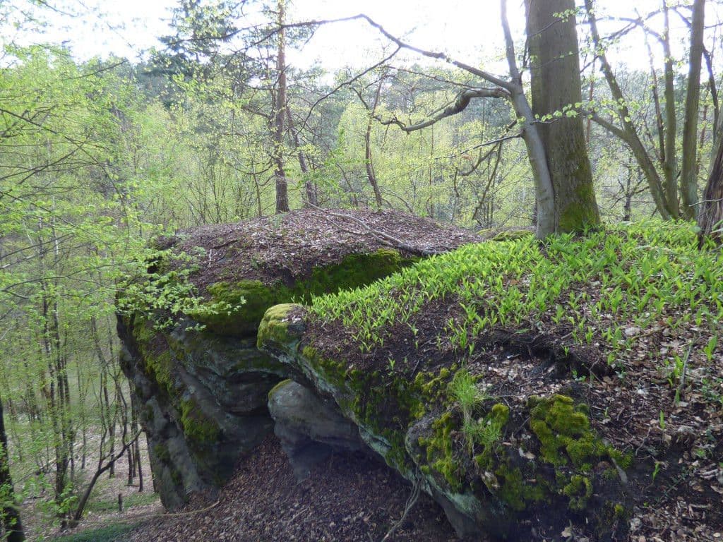 Predaj pozemku 7.636 m², Dobřeň, Středočeský kraj Predaj pozemku 7.636 m², Dobřeň, Středočeský kraj