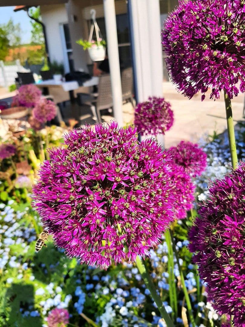 Predaj domu 179 m², pozemek 724 m², Reckendorf, Bavorsko Predaj domu 179 m², pozemek 724 m², Reckendorf, Bavorsko