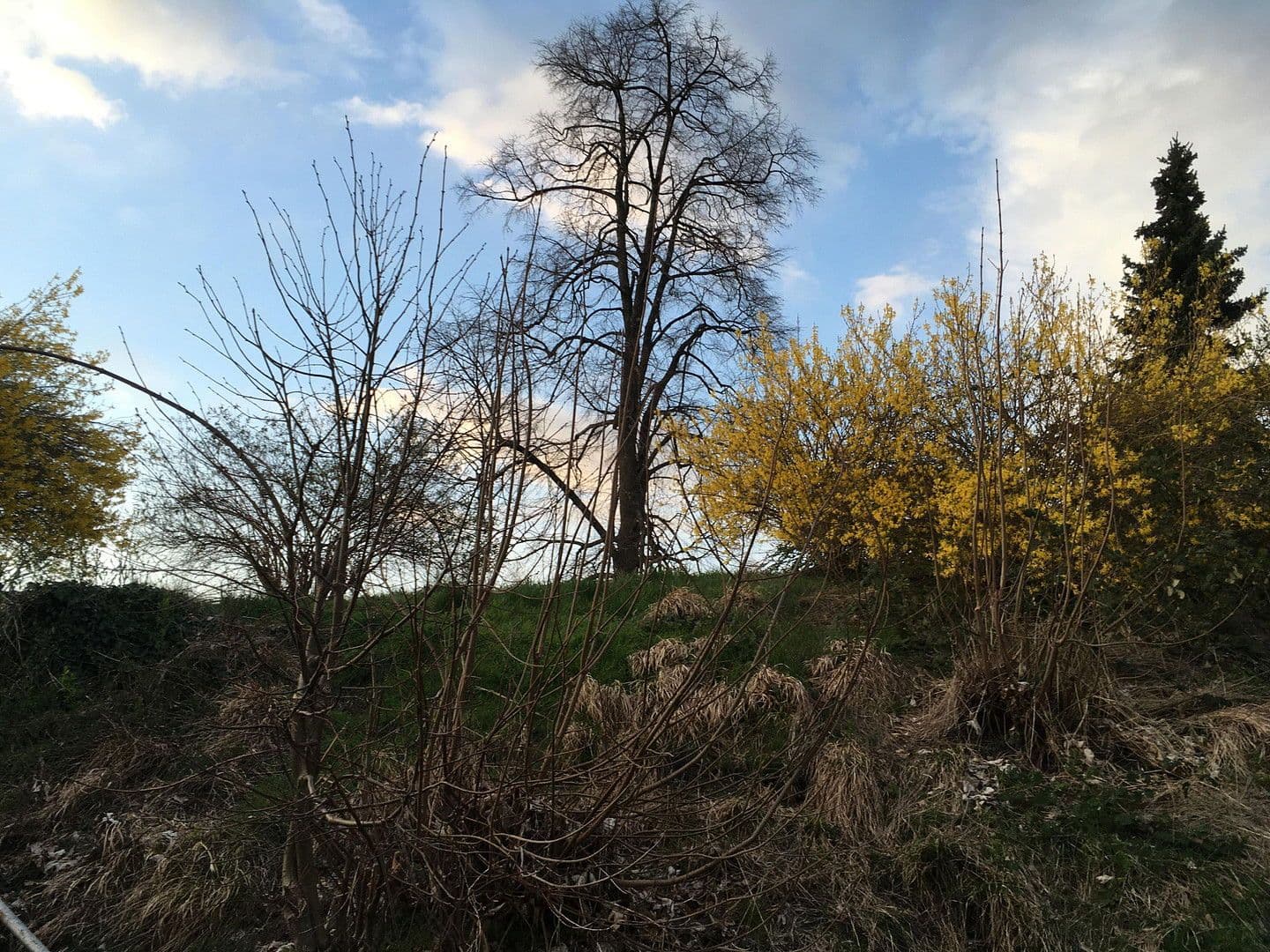 Predaj domu 150 m², pozemek 1.081 m², Am Osterbichl 1, Murnau am Staffelsee, Bavorsko Predaj domu 150 m², pozemek 1.081 m², Am Osterbichl 1, Murnau am Staffelsee, Bavorsko